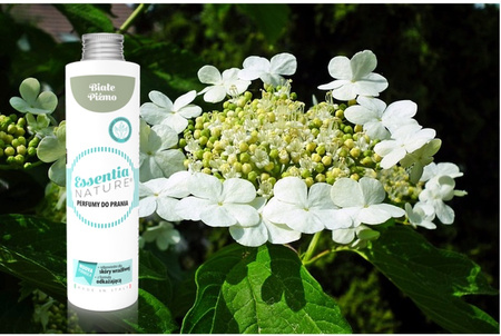 Zestaw perfumy do prania + odświeżacz w sprayu o zapachu Białe Piżmo 2 x 250 ml