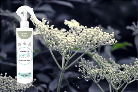 Zestaw perfumy do prania + odświeżacz w sprayu o zapachu Białe Piżmo 2 x 250 ml